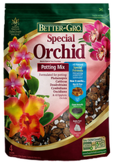 Sphagnum Moss vs. Bark: Which is Better for Phalaenopsis Orchids?
