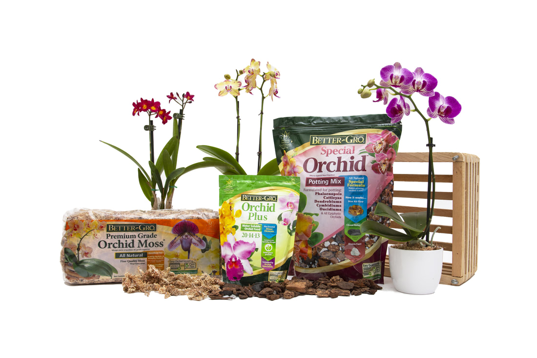 BETTER-GRO BETTER-GRO ORCHID MOSS at
